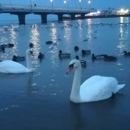 Polanki Park U Marty - Basen *
